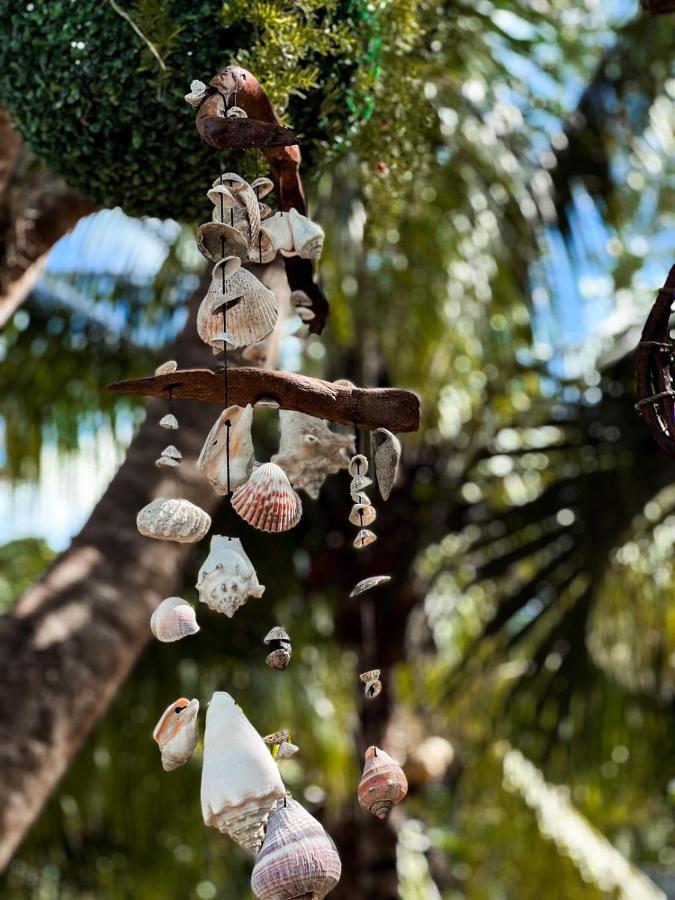 Zamunda Garden View Hotel Tulum Ngoại thất bức ảnh