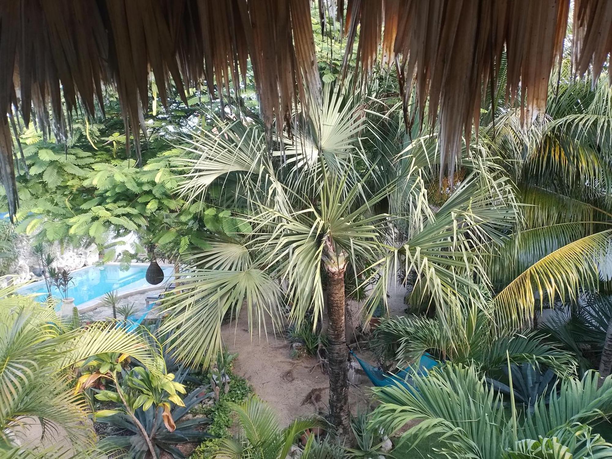 Zamunda Garden View Hotel Tulum Ngoại thất bức ảnh
