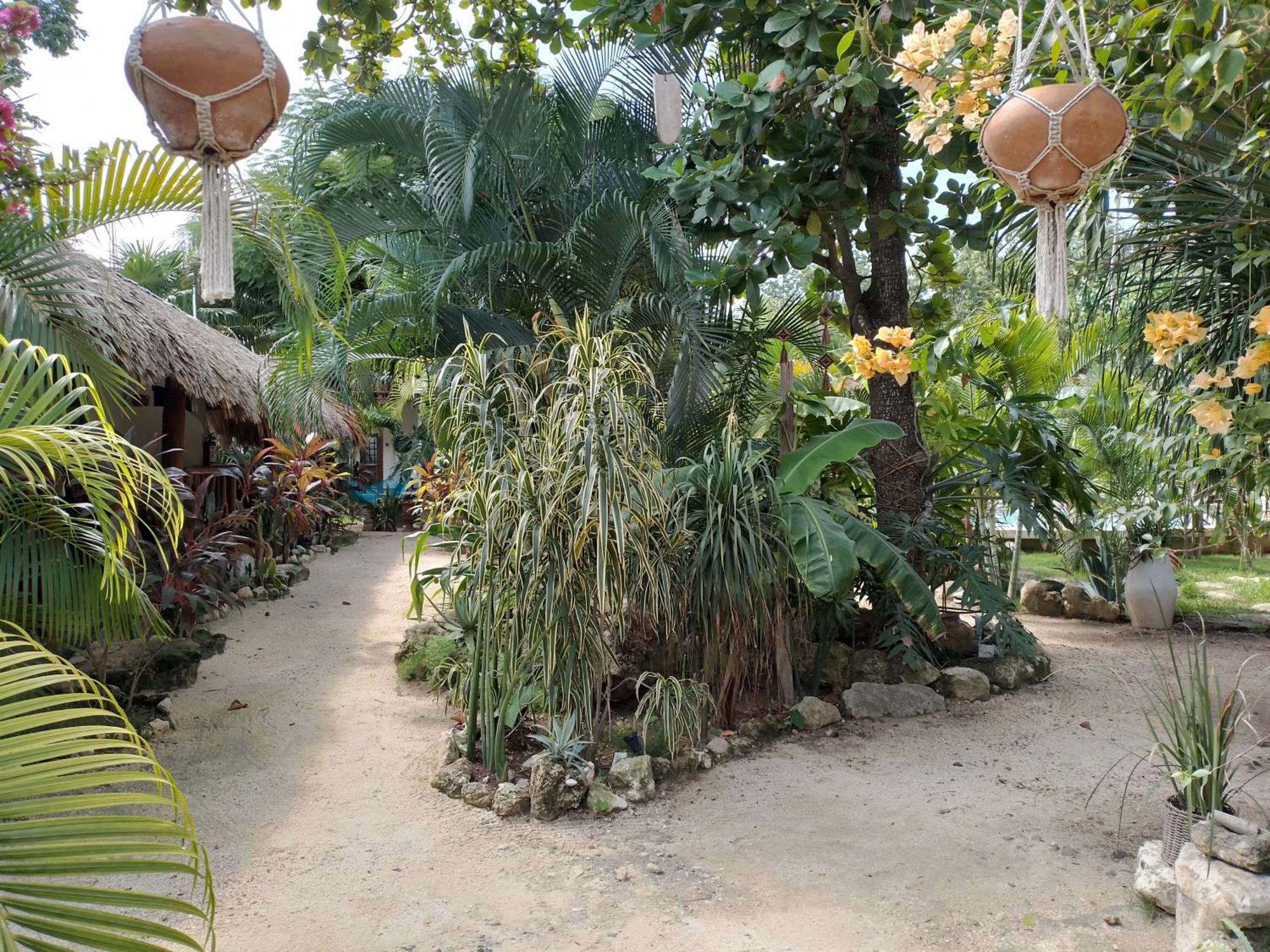 Zamunda Garden View Hotel Tulum Ngoại thất bức ảnh