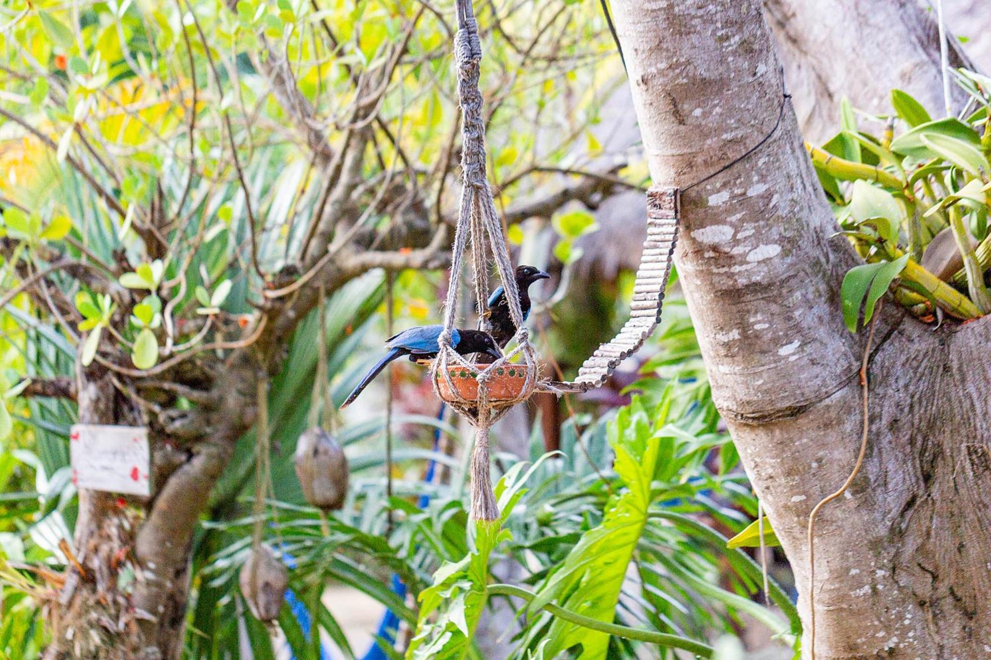 Zamunda Garden View Hotel Tulum Ngoại thất bức ảnh