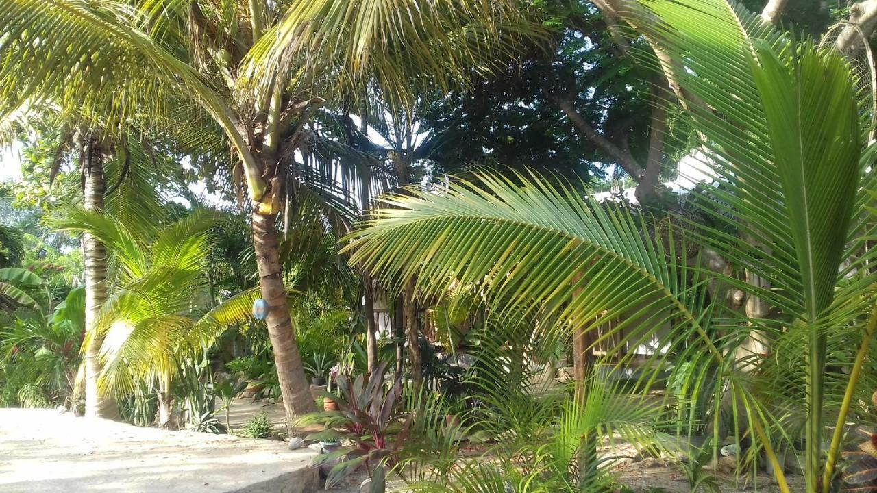 Zamunda Garden View Hotel Tulum Ngoại thất bức ảnh